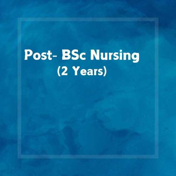 post bsc nursing course in bangalore